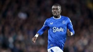 Idrissa Gueye in action for Everton